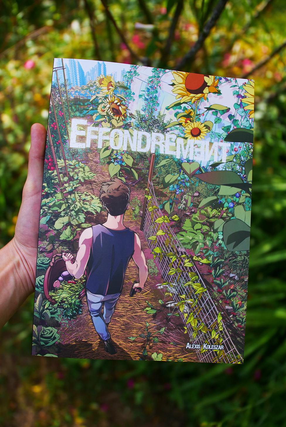 Couverture de la BD Effondrement par Alexis Koleszar