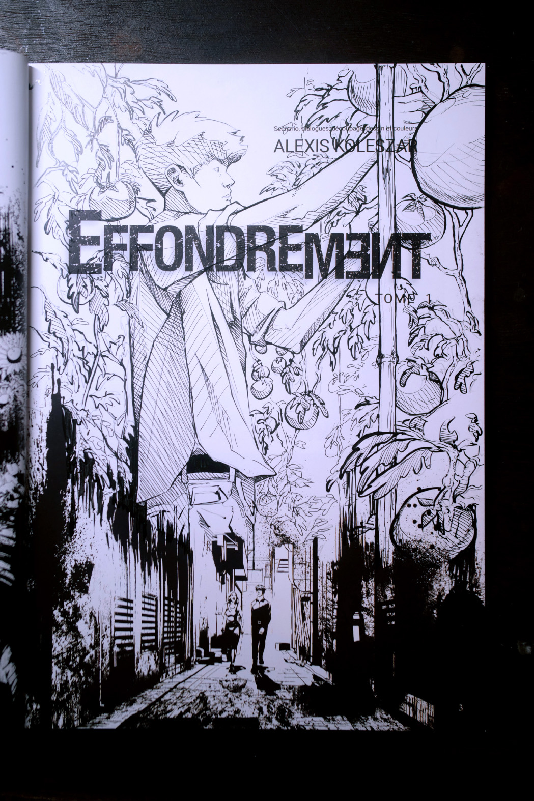 BD Effondrement par Alexis Koleszar dédicacée