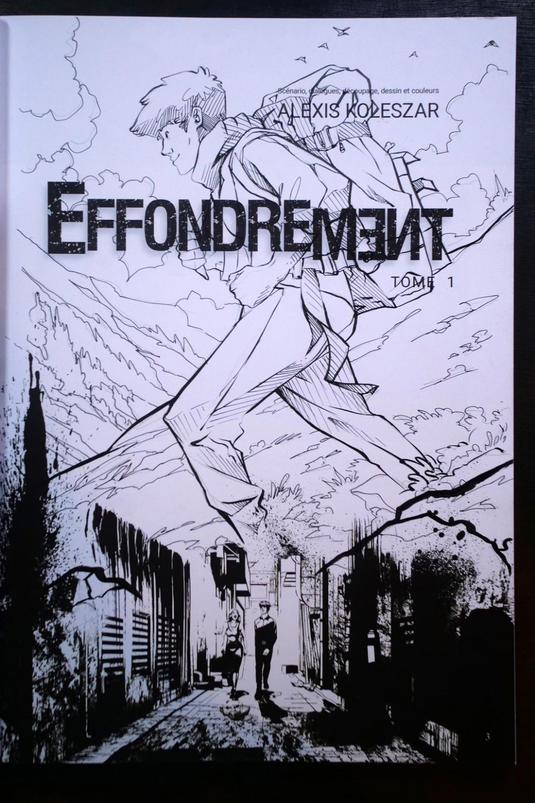 BD Effondrement par Alexis Koleszar dédicacée